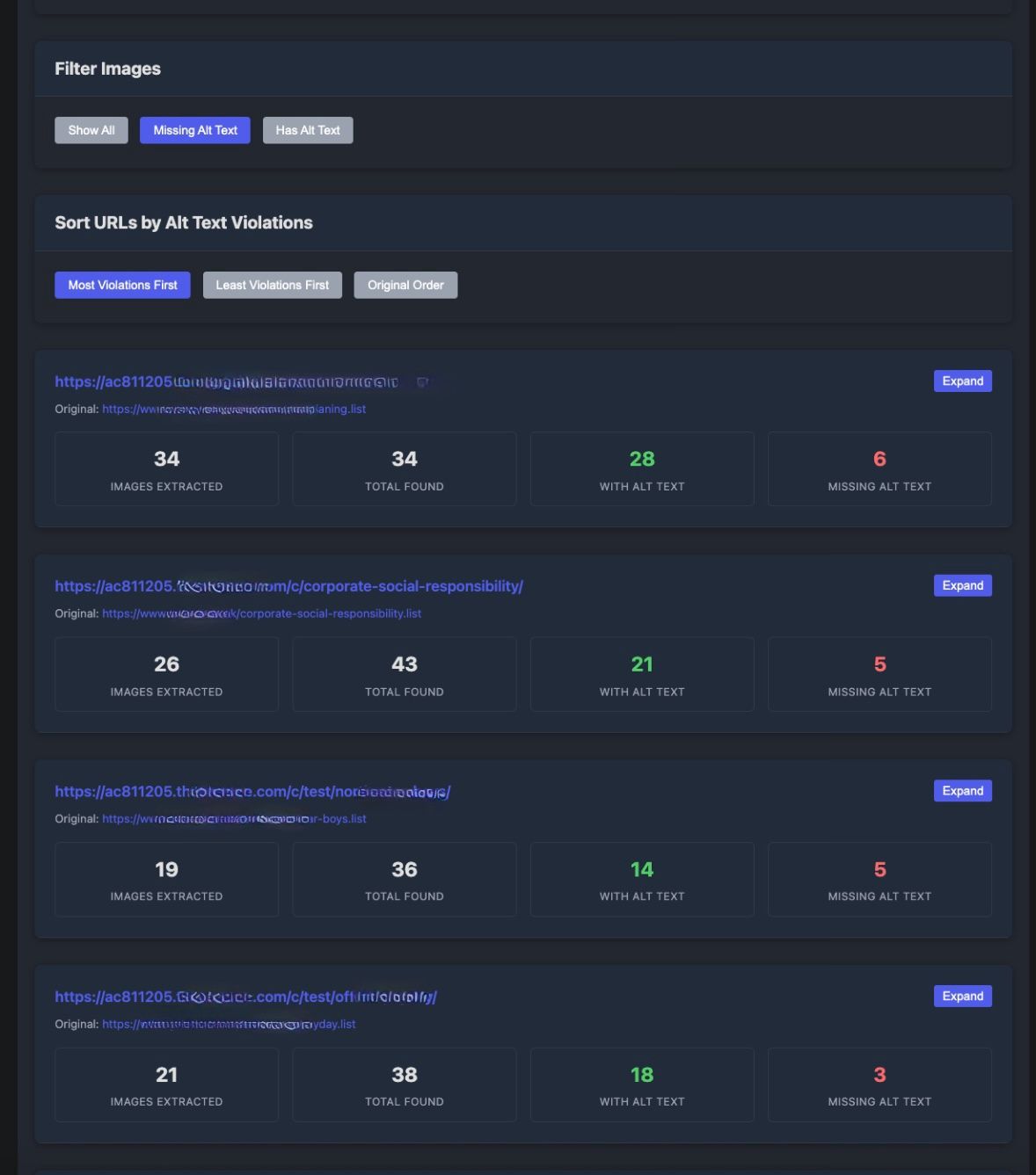 Image Alt Text Audit Report supporting screenshot showing accessibility audit results